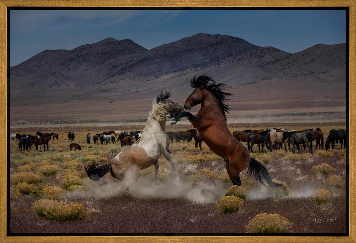 Desert Duel 5 Gallery Wrap