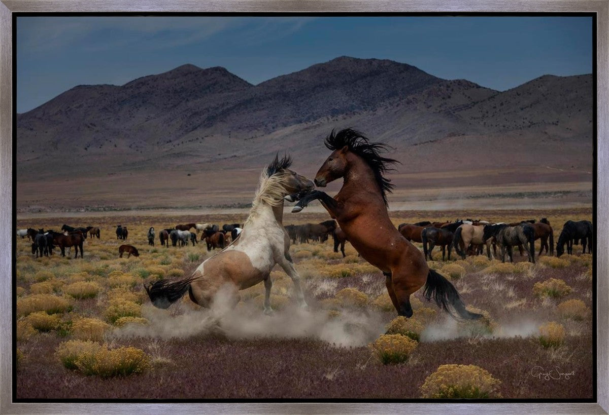 Desert Duel 5 Gallery Wrap