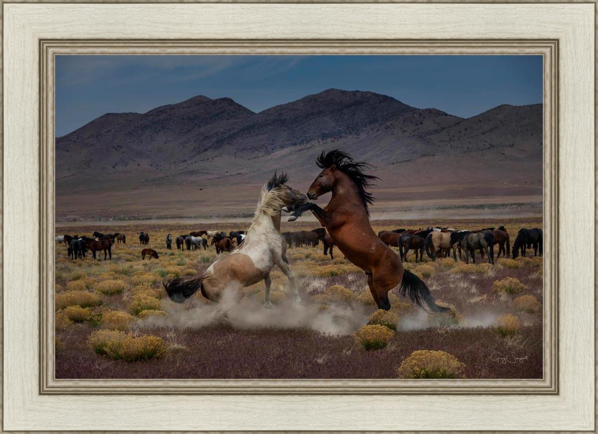 Desert Duel 5