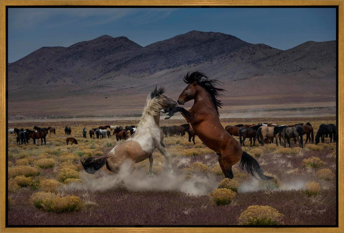 Desert Duel 5 Gallery Wrap