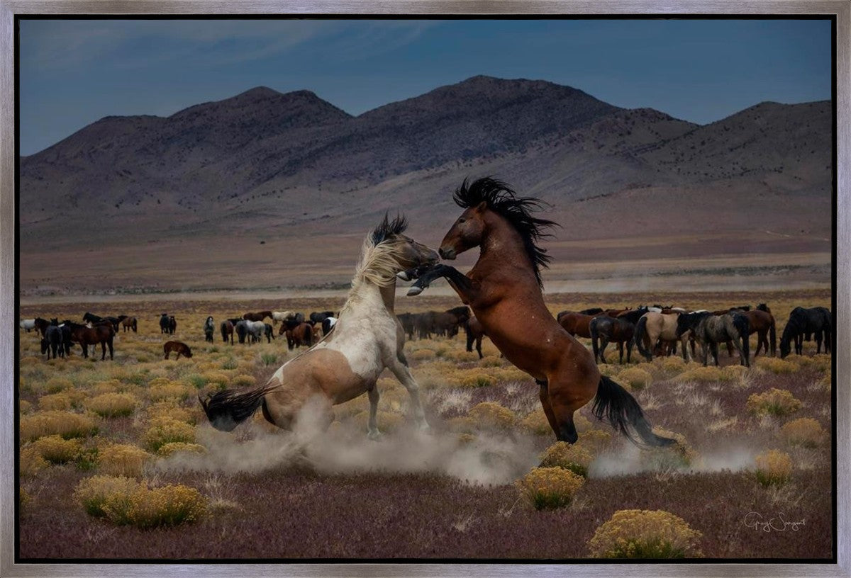 Desert Duel 5 Gallery Wrap