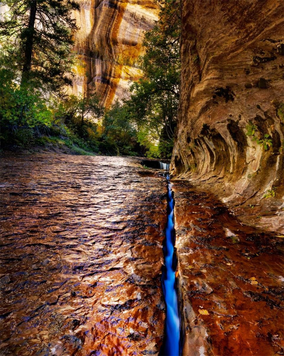 Zions Fissure Gallery Wrap