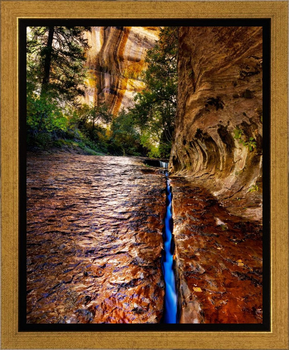 Zions Fissure Gallery Wrap