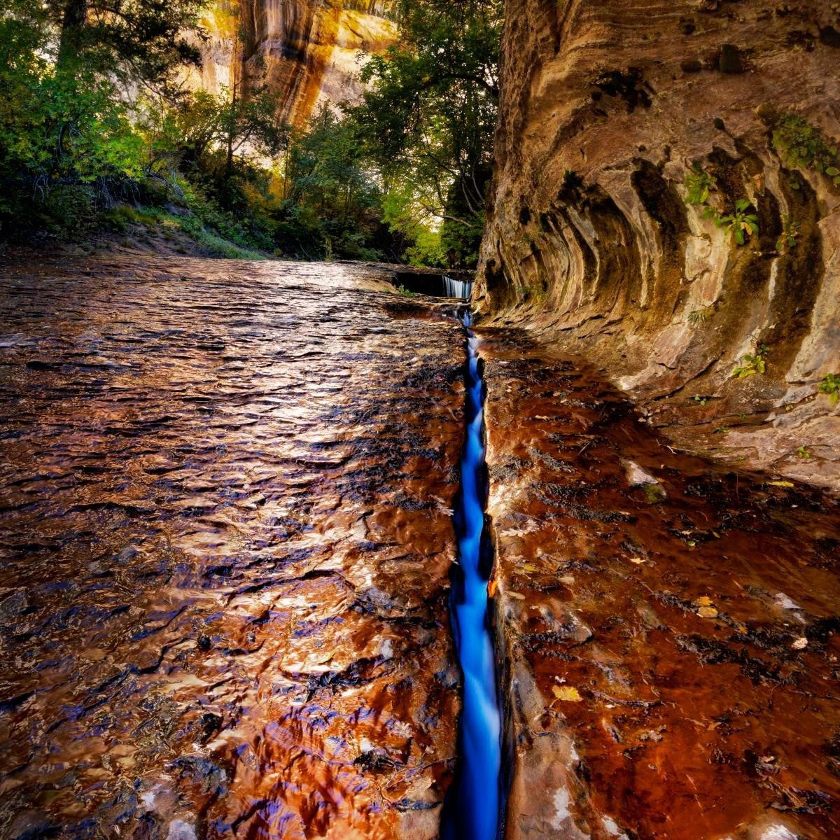 Zions Fissure Gallery Wrap