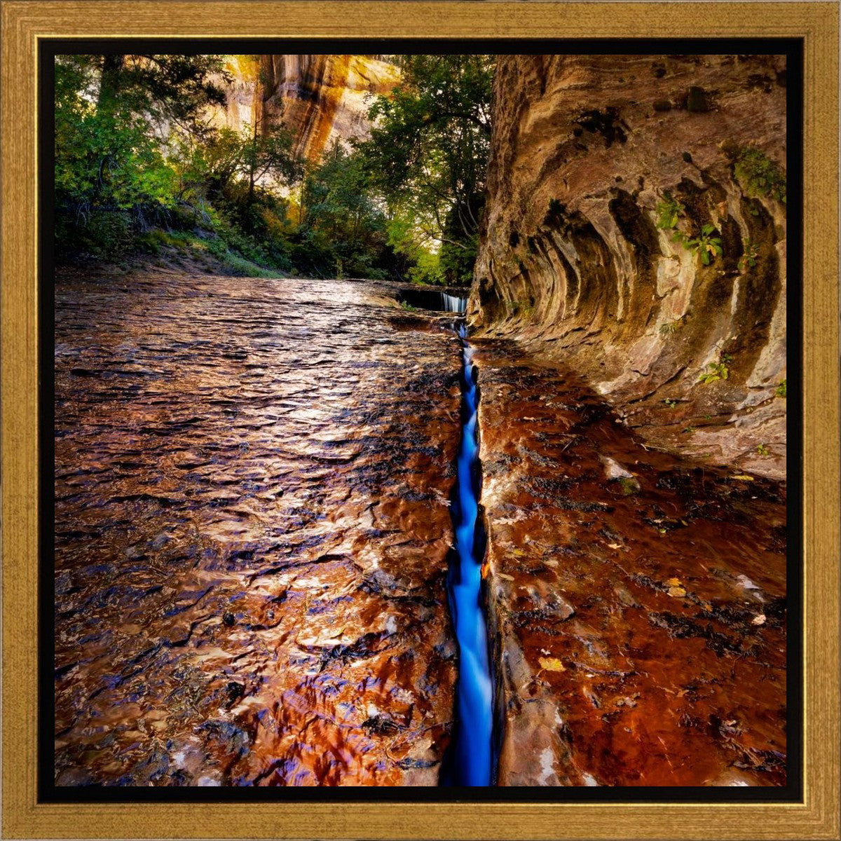 Zions Fissure Gallery Wrap