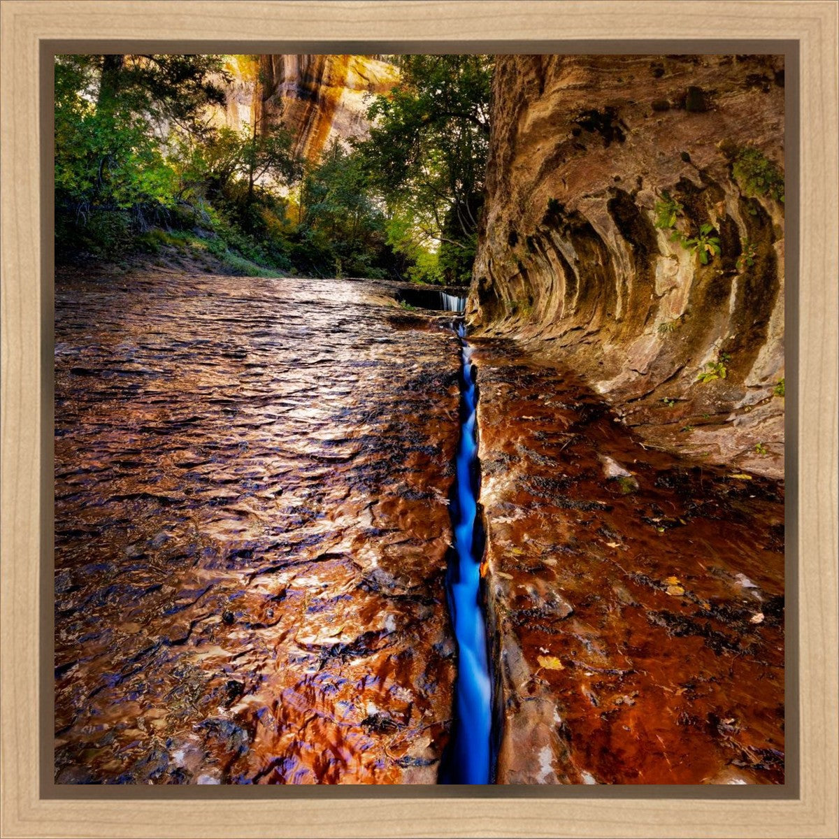 Zions Fissure Gallery Wrap