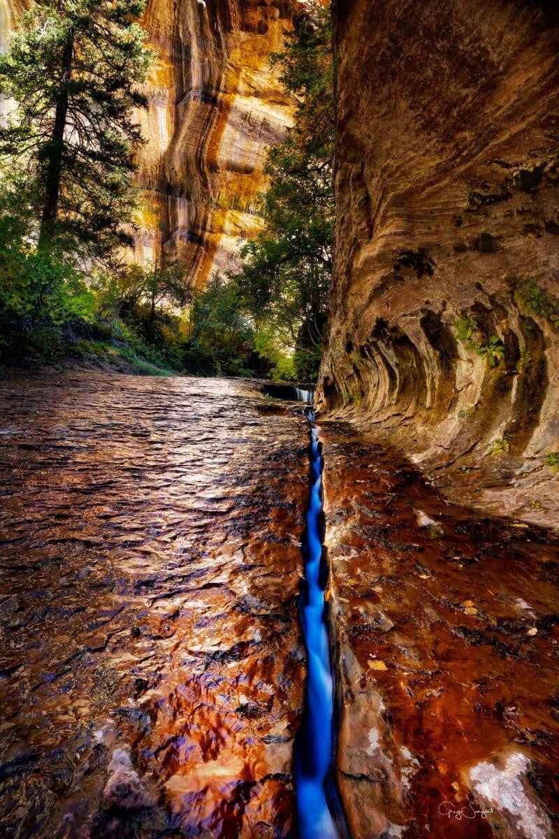 Zions Fissure Gallery Wrap