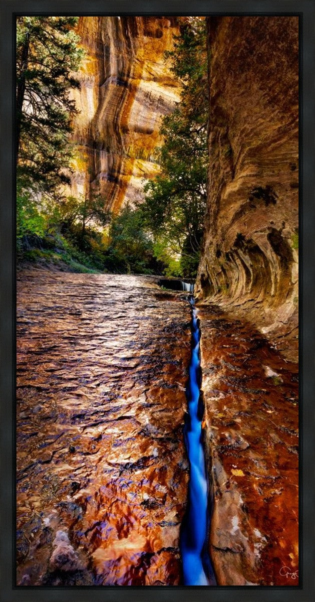 Zions Fissure Gallery Wrap