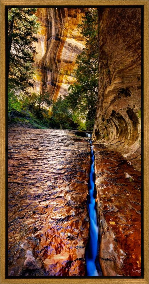 Zions Fissure Gallery Wrap
