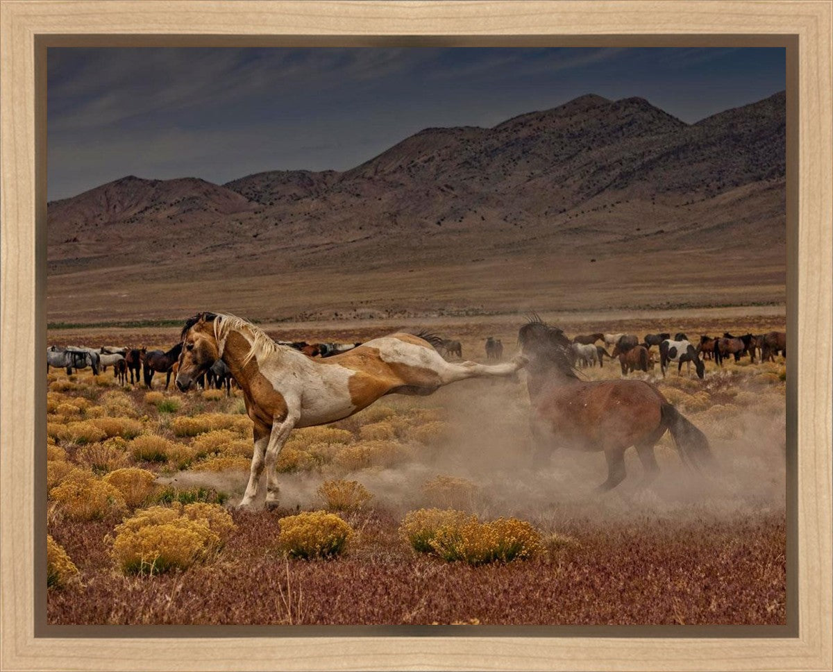 Rebound Gallery Wrap