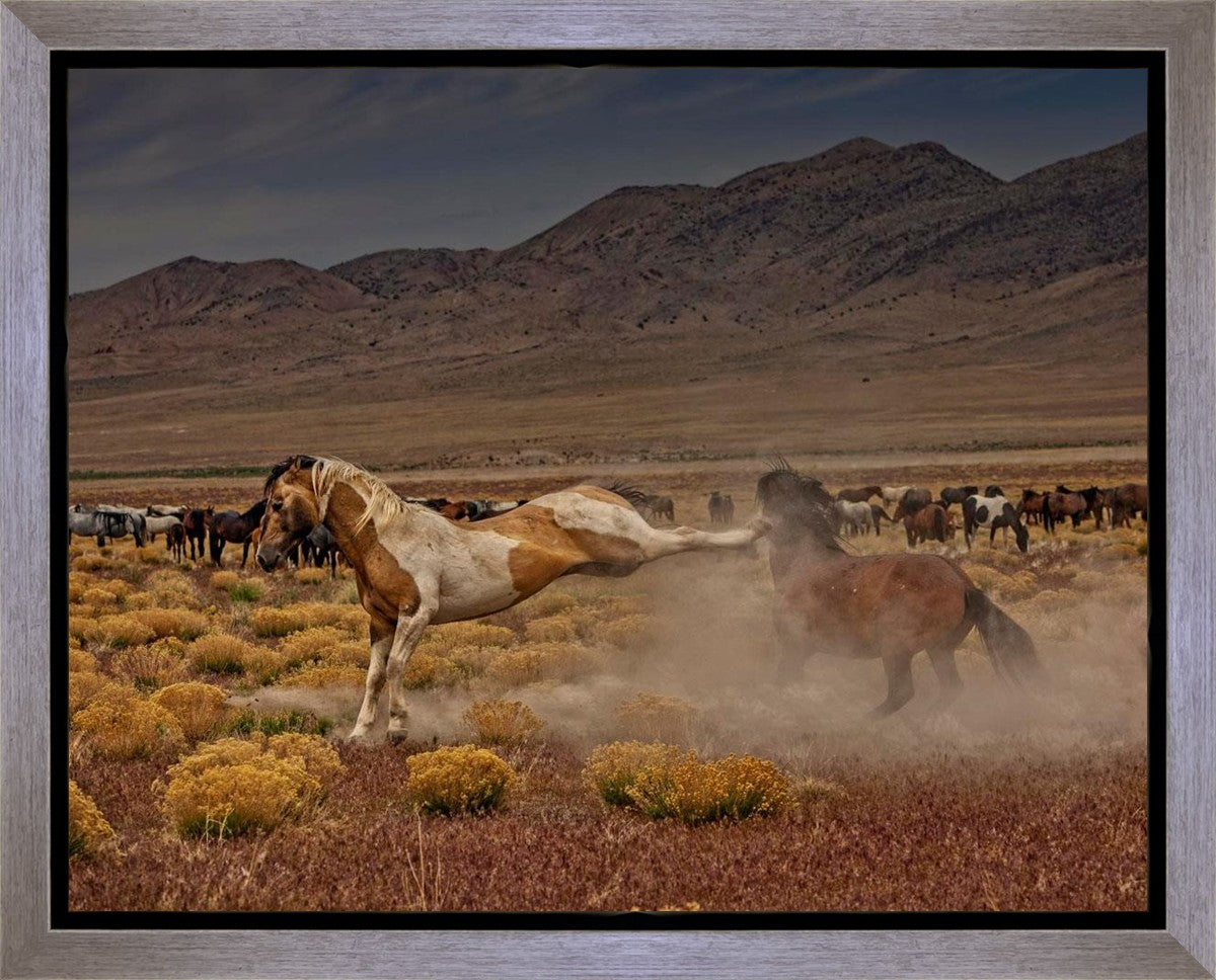 Rebound Gallery Wrap