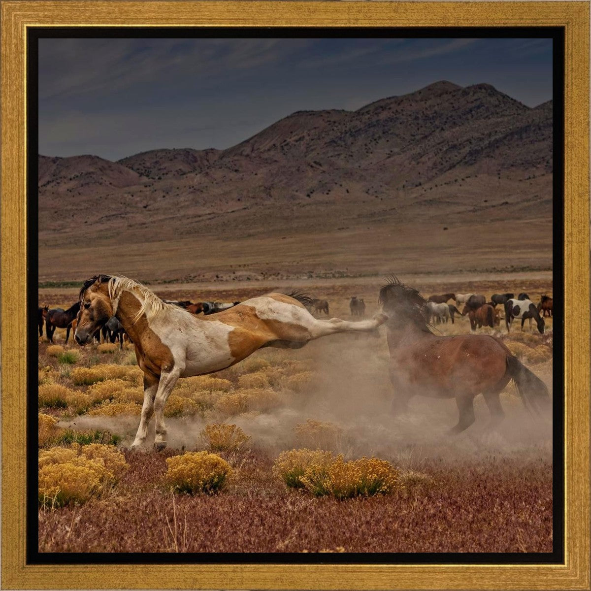 Rebound Gallery Wrap