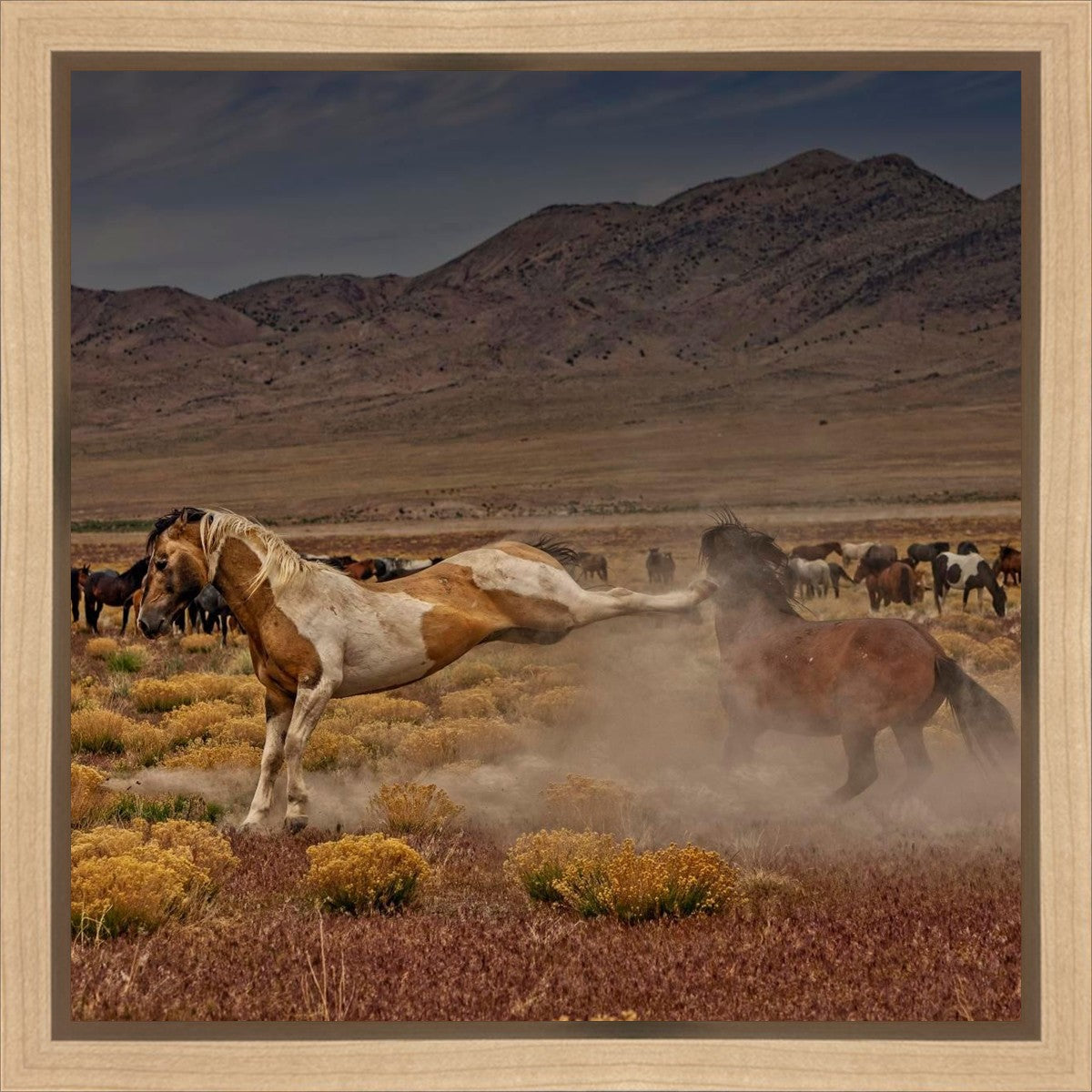 Rebound Gallery Wrap