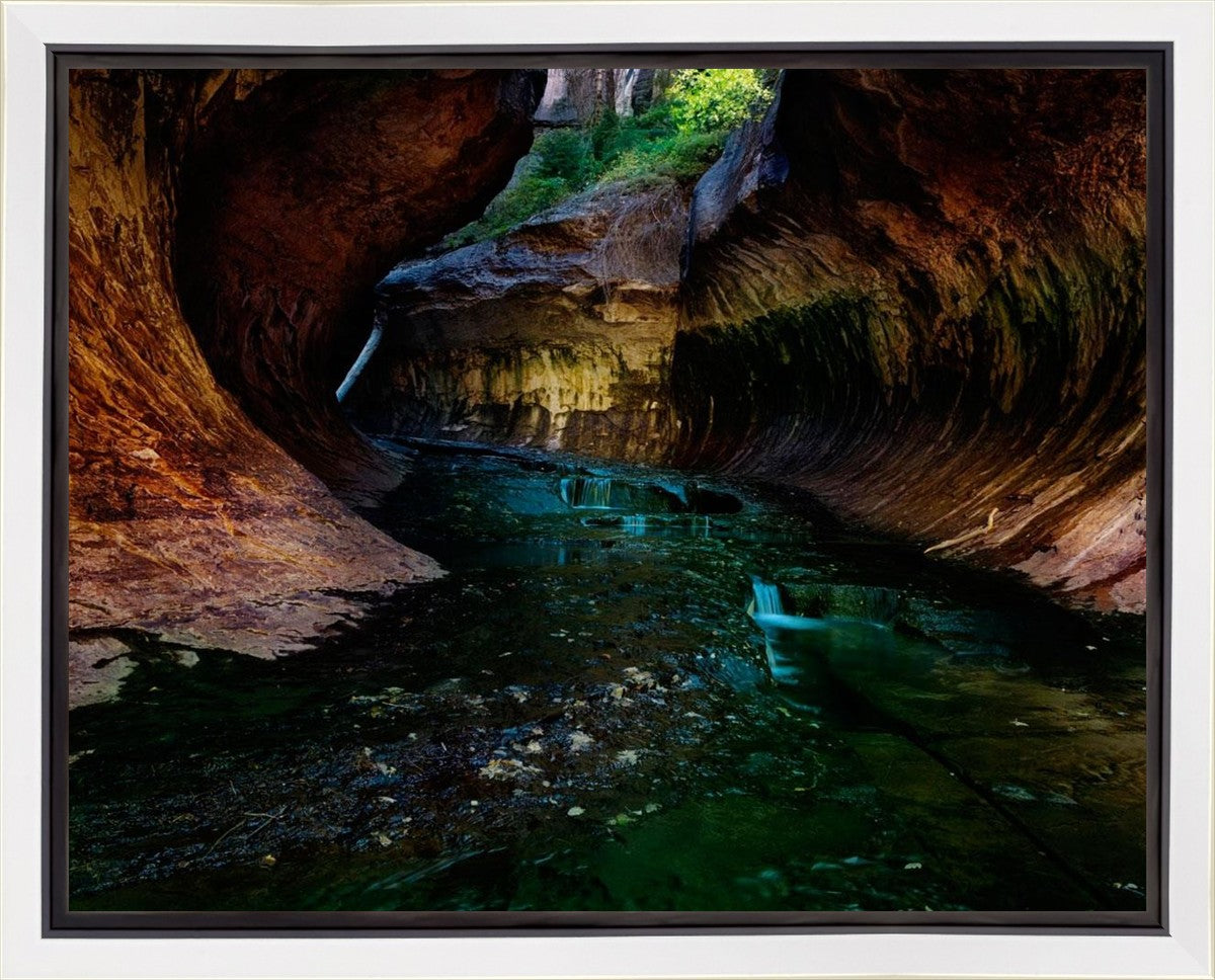 Zion's Abyss Gallery Wrap