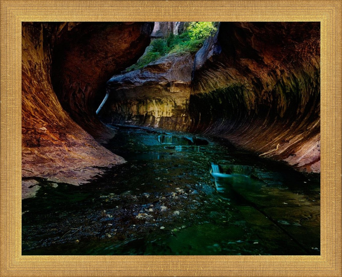 Zion's Abyss