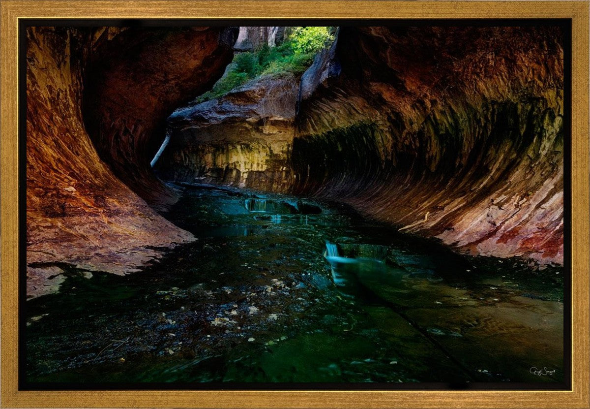 Zion's Abyss Gallery Wrap