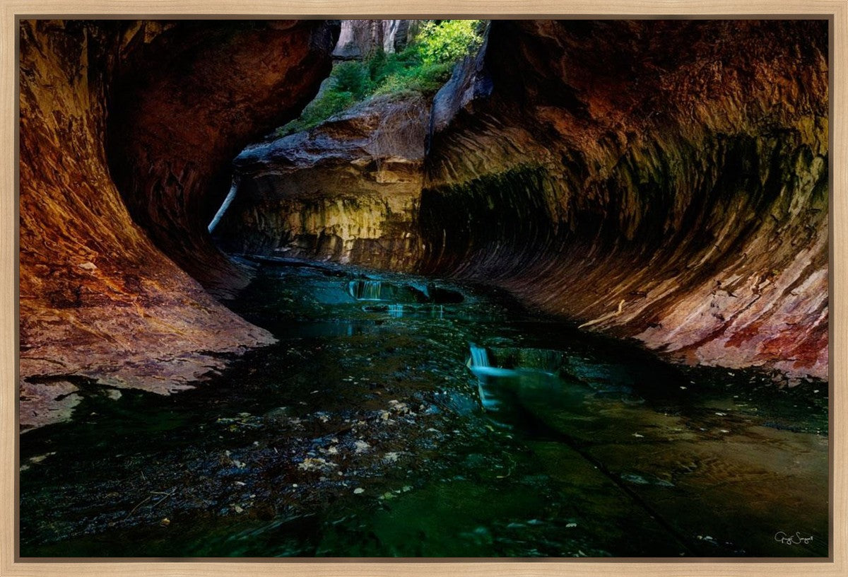 Zion's Abyss Gallery Wrap