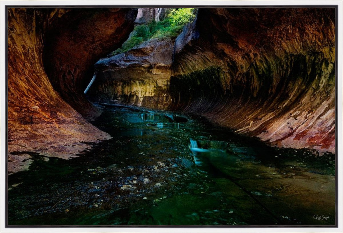 Zion's Abyss Gallery Wrap