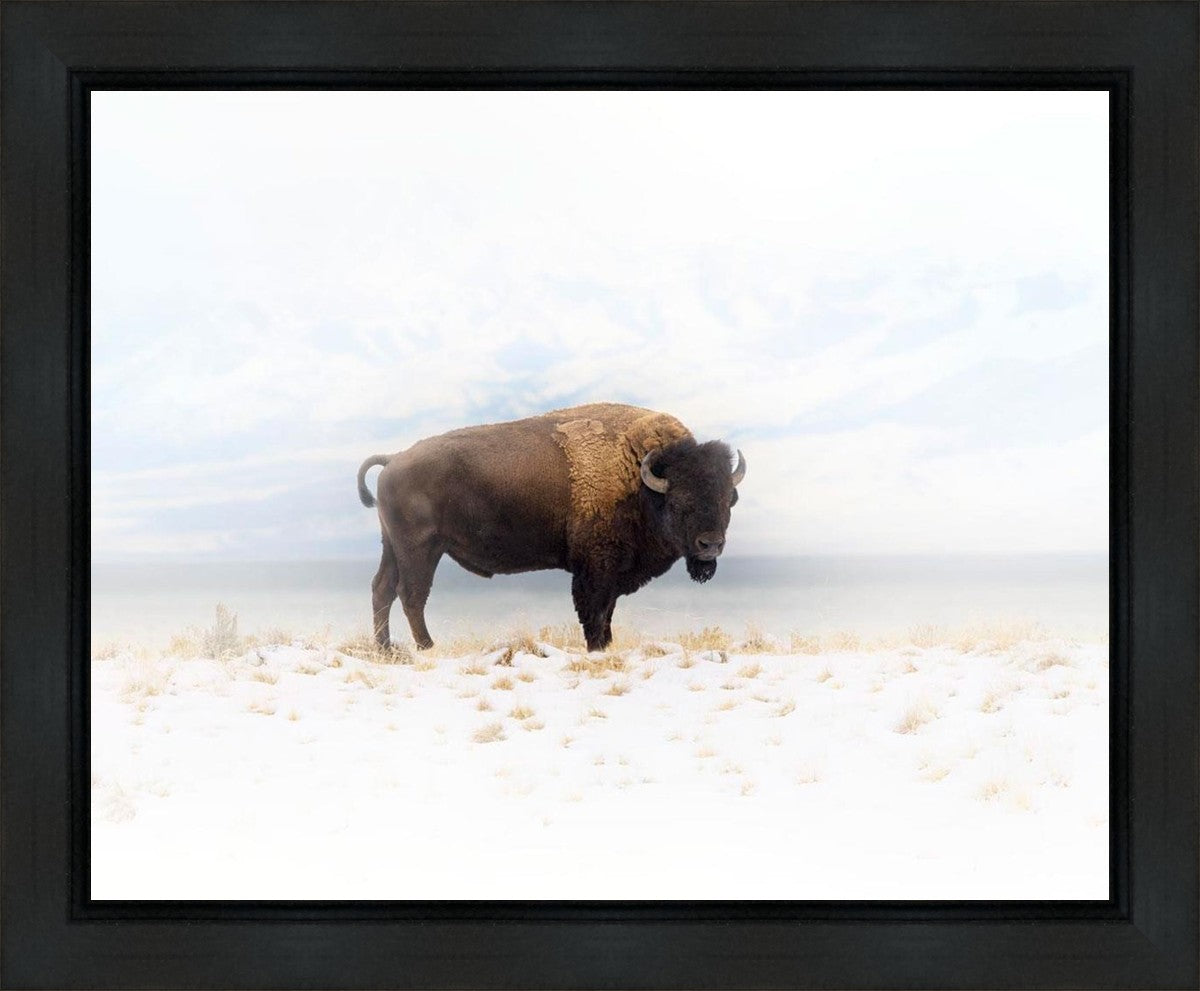 Winters Ridge Gallery Wrap