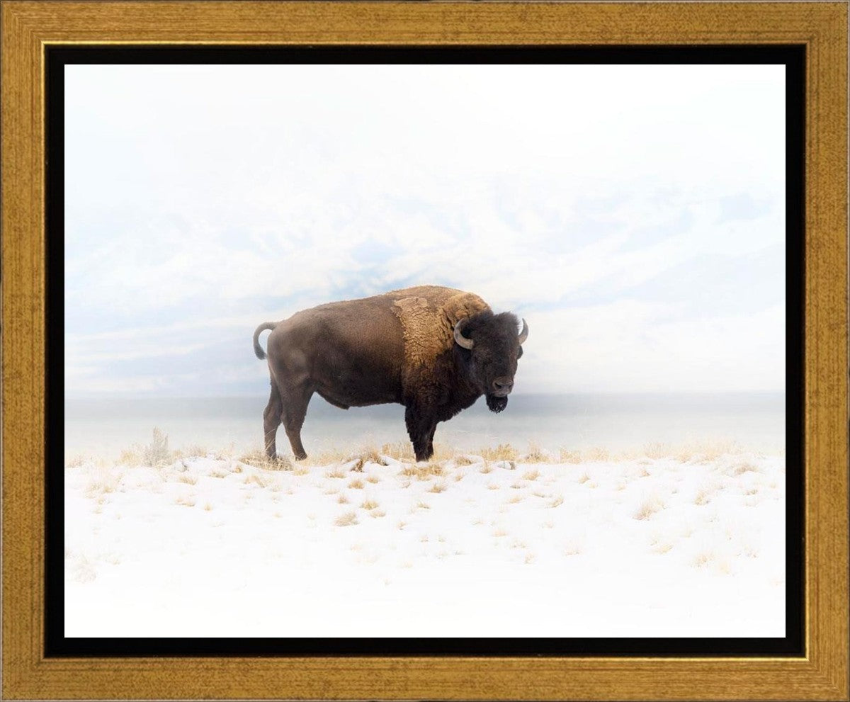 Winters Ridge Gallery Wrap