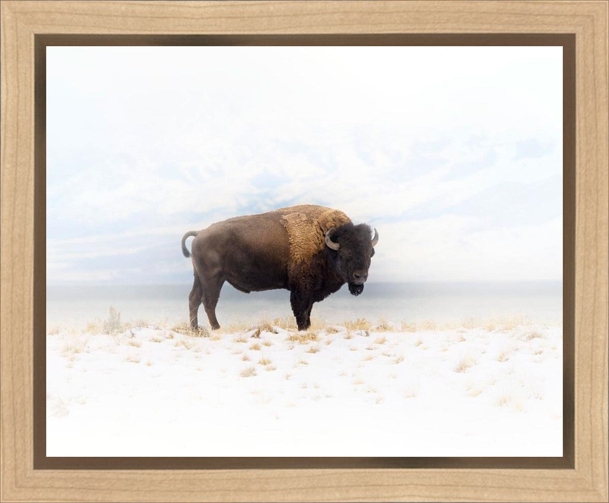 Winters Ridge Gallery Wrap