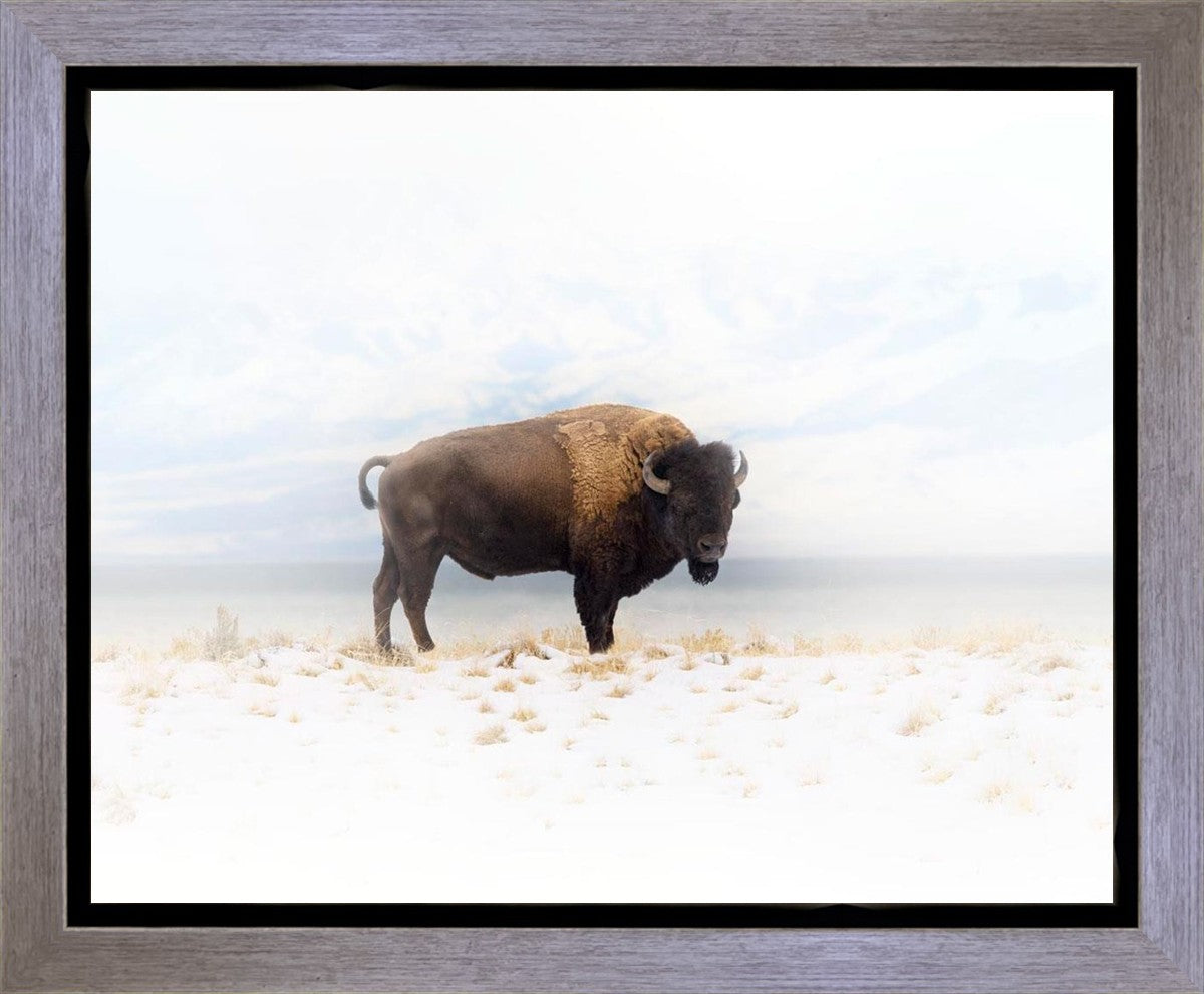 Winters Ridge Gallery Wrap