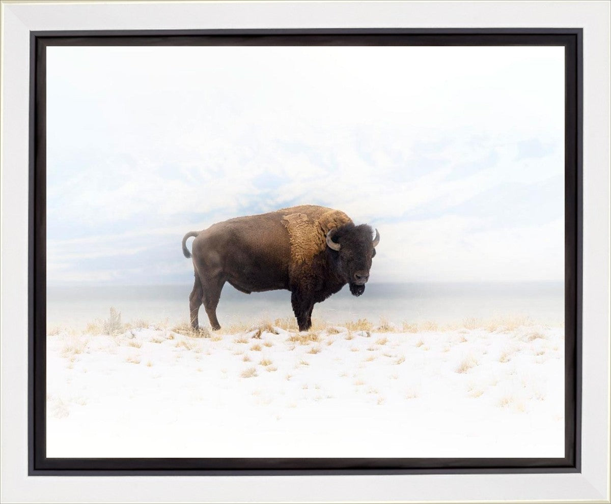 Winters Ridge Gallery Wrap