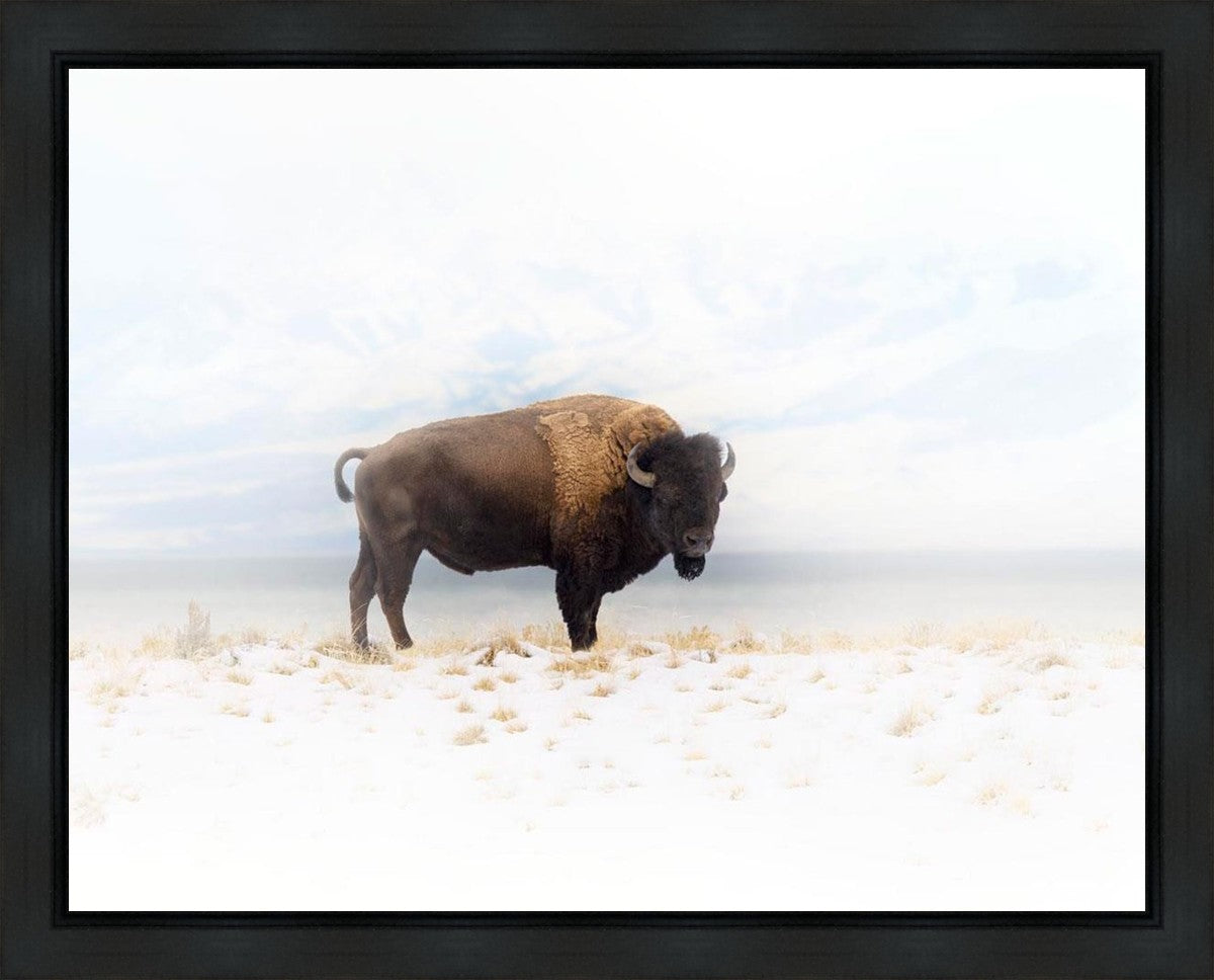 Winters Ridge Gallery Wrap