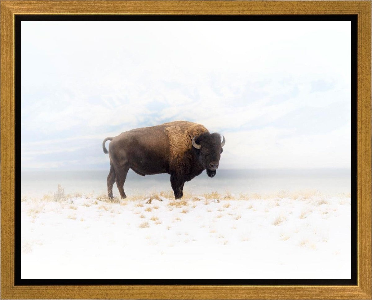 Winters Ridge Gallery Wrap