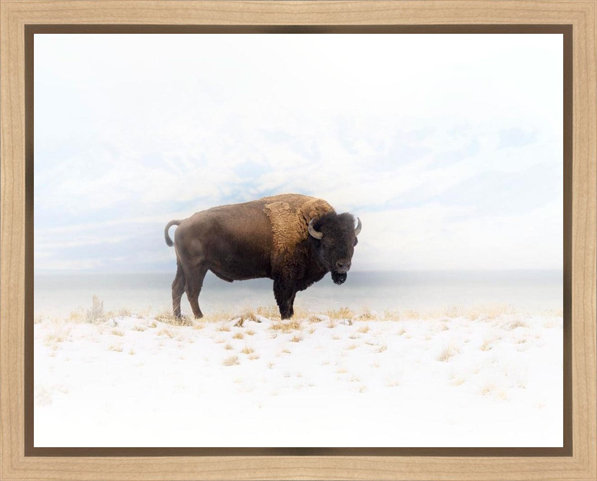 Winters Ridge Gallery Wrap