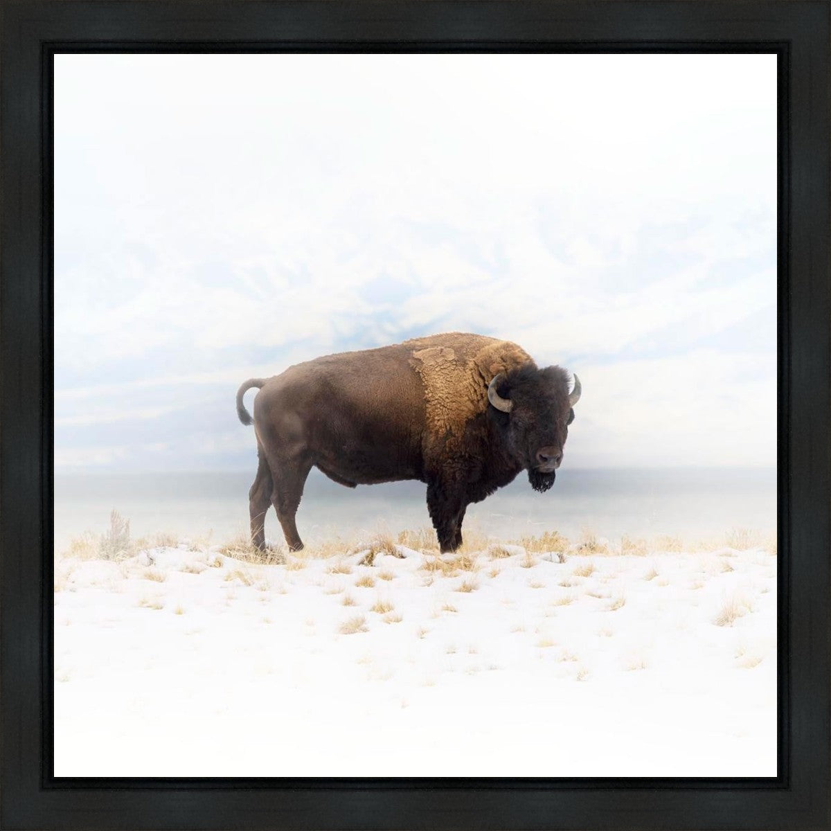 Winters Ridge Gallery Wrap