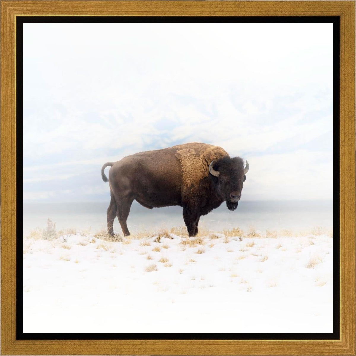 Winters Ridge Gallery Wrap