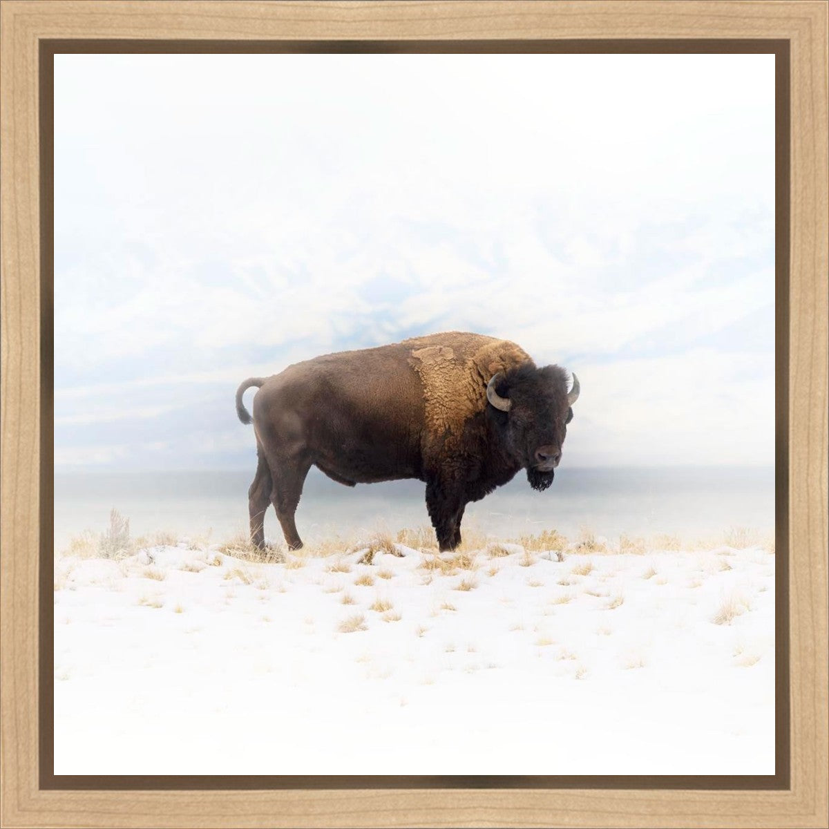 Winters Ridge Gallery Wrap