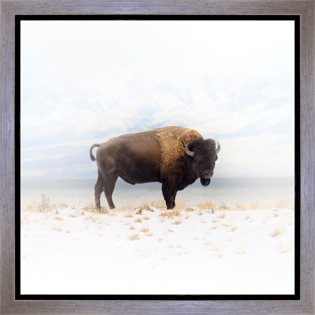 Winters Ridge Gallery Wrap