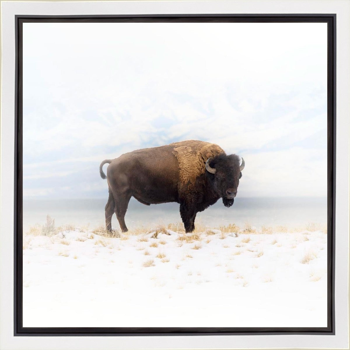 Winters Ridge Gallery Wrap
