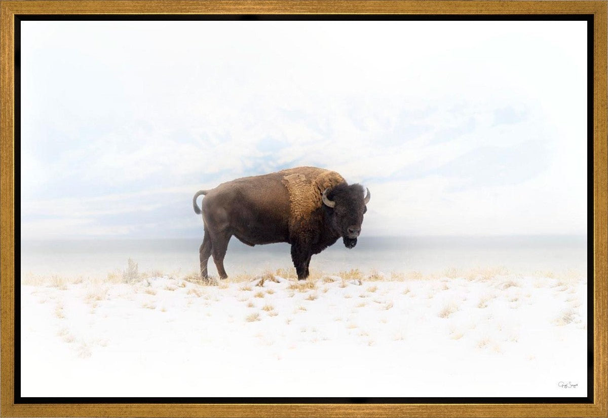 Winters Ridge Gallery Wrap