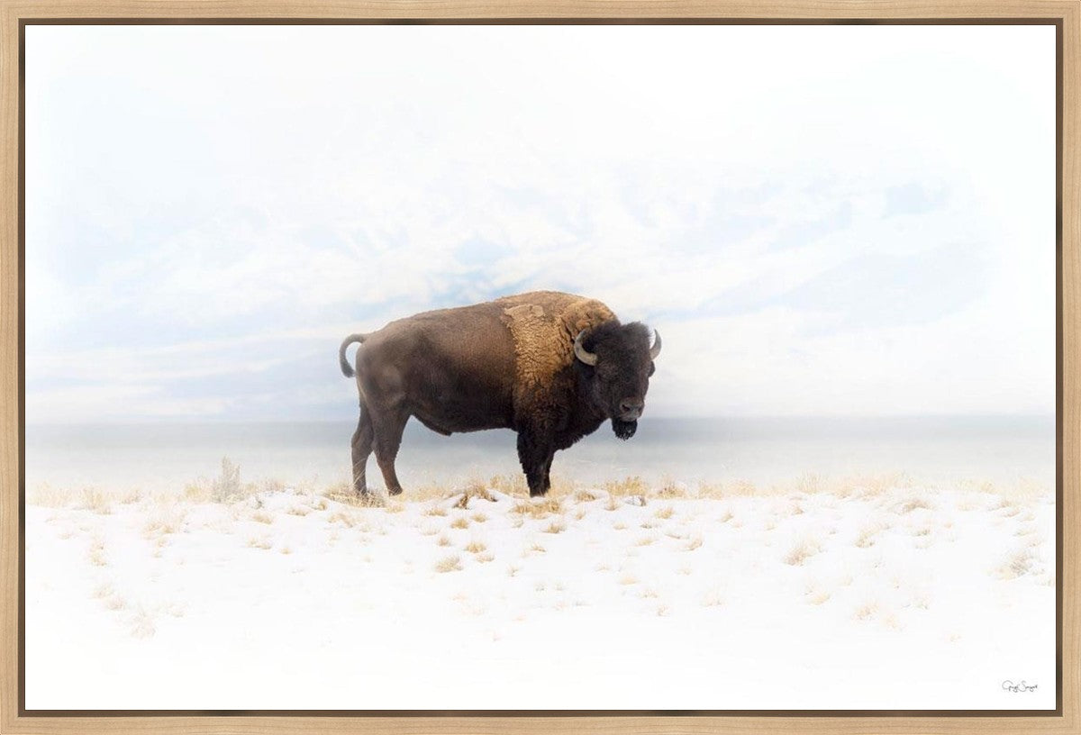 Winters Ridge Gallery Wrap