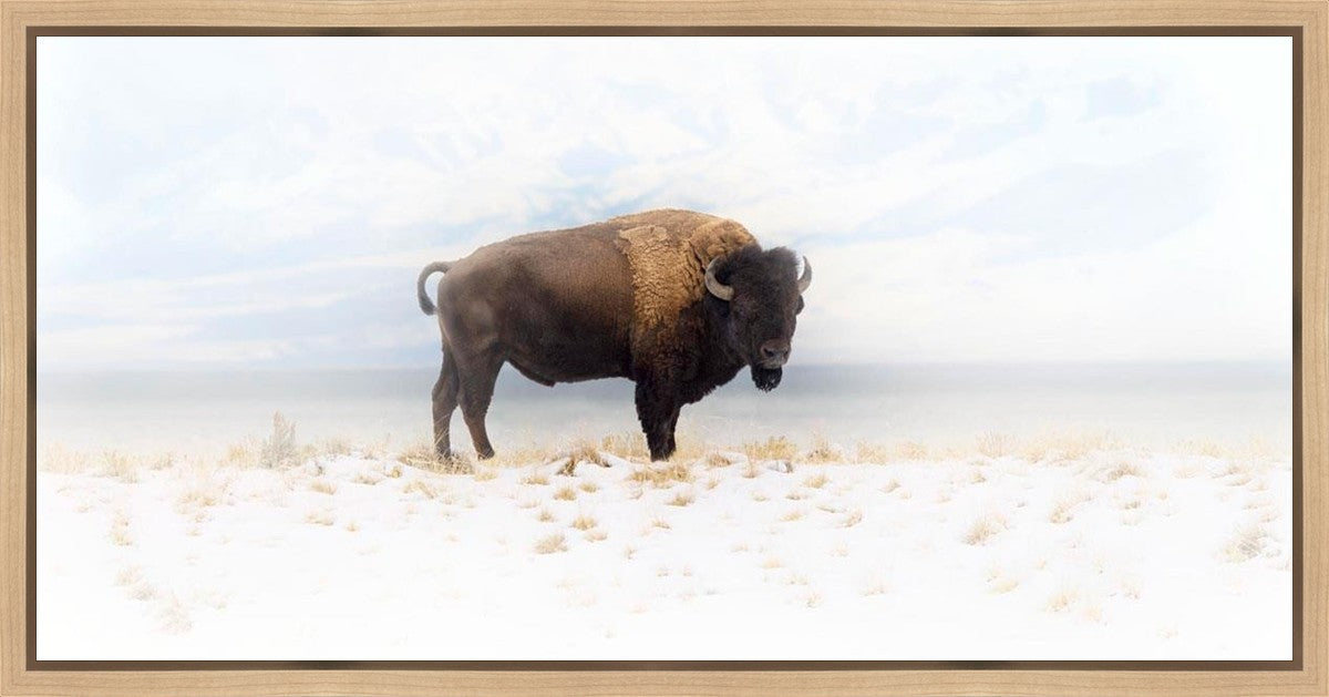 Winters Ridge Gallery Wrap