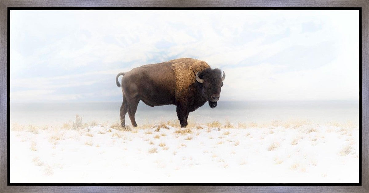 Winters Ridge Gallery Wrap