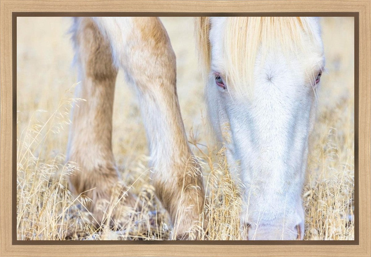 Dry Grass Gallery Wrap