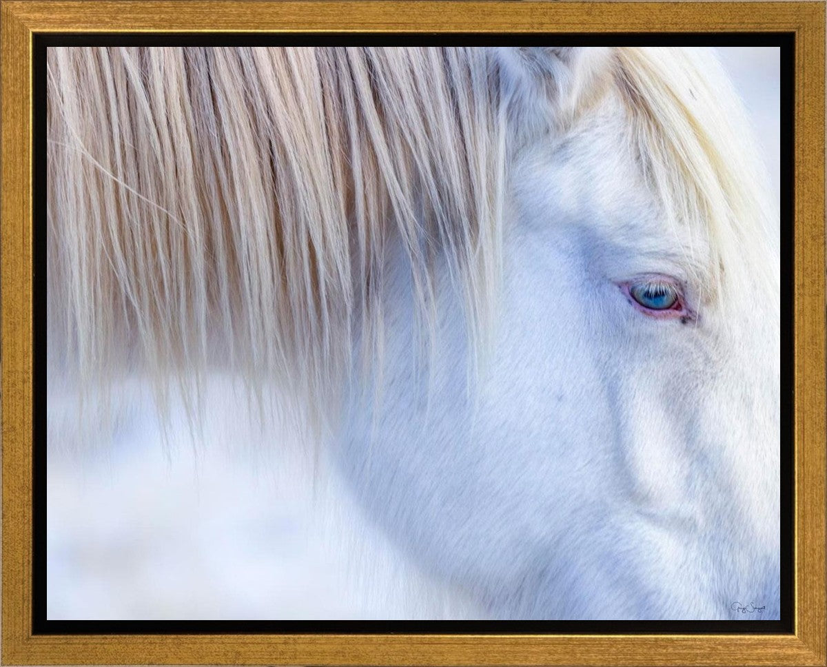 White Gypsy Gallery Wrap