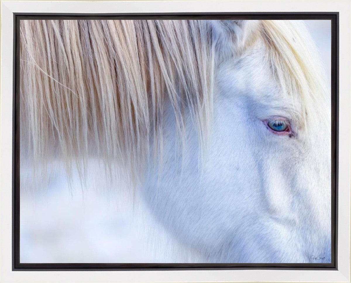 White Gypsy Gallery Wrap