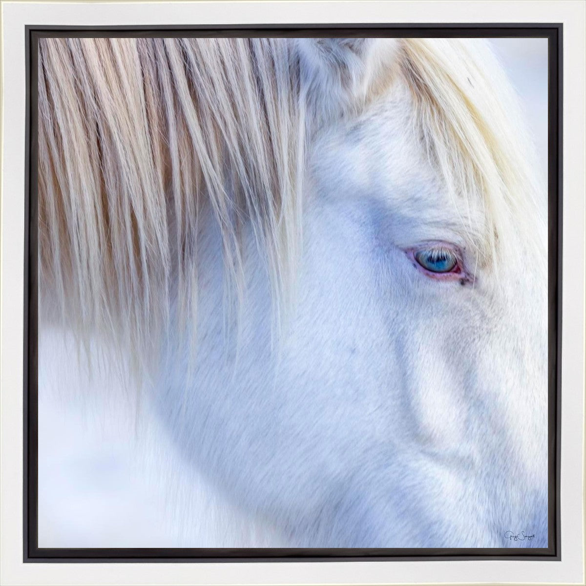 White Gypsy Gallery Wrap