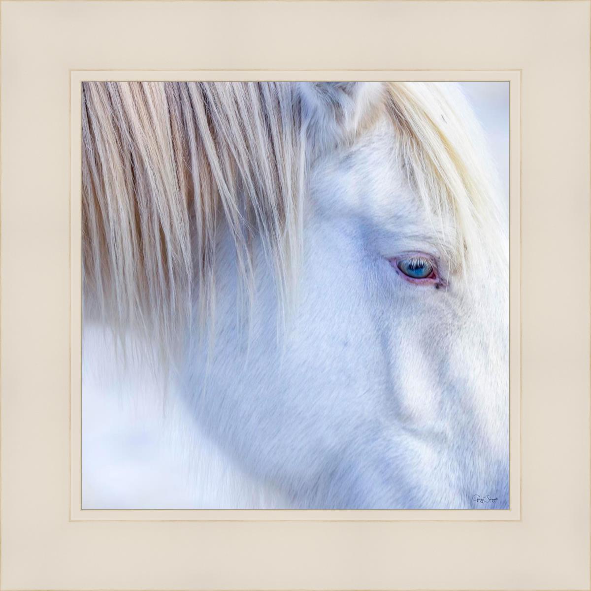 White Gypsy