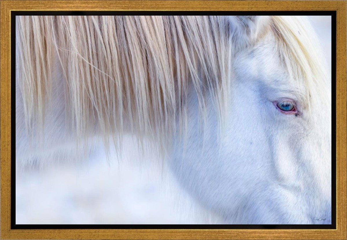 White Gypsy Gallery Wrap