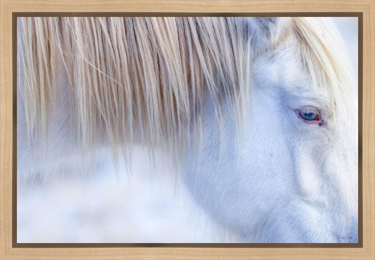 White Gypsy Gallery Wrap