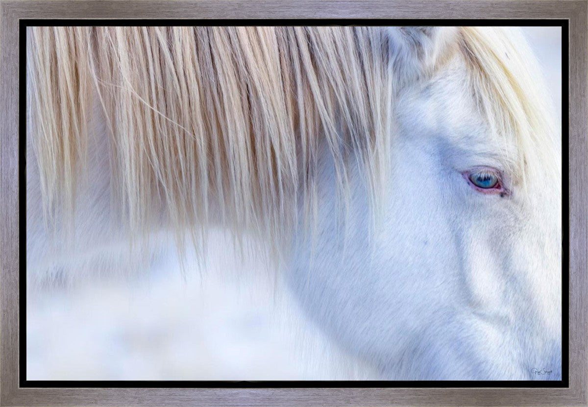 White Gypsy Gallery Wrap