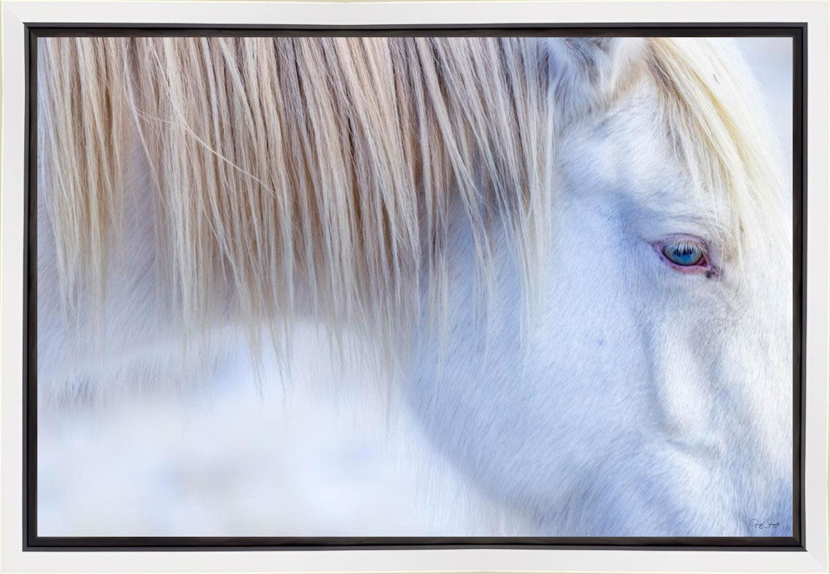 White Gypsy Gallery Wrap