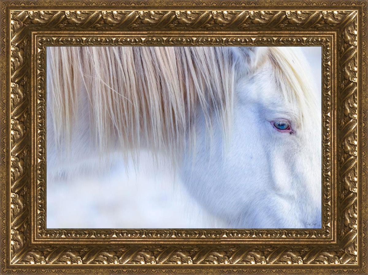White Gypsy
