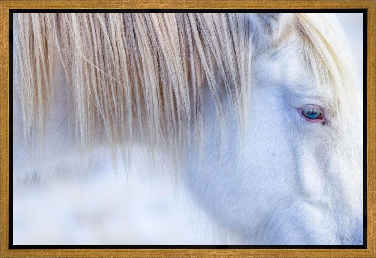 White Gypsy Gallery Wrap